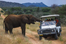 Namibia_April_2025 (36/79)